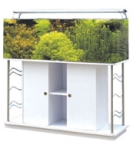 hex6.jpg